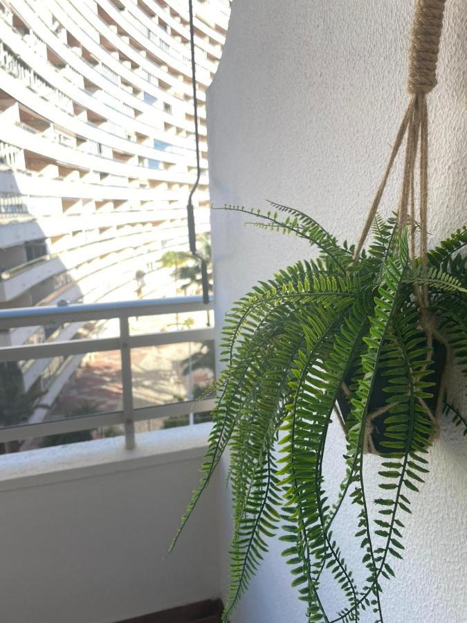 Vive El Mediterraneo - Apartamento Con Piscina En Cullera Exterior foto